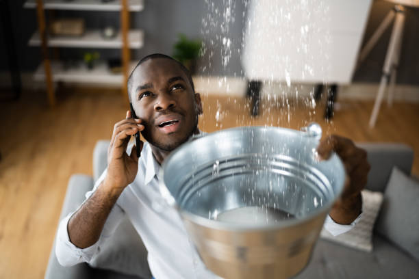 Best Flooded house restoration  in Minneota, MN