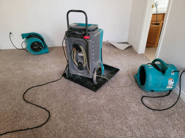 Best Professional water damage repair  in Minneota, MN