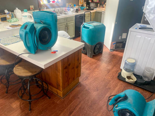  Minneota, MN Water damage restoration Pros