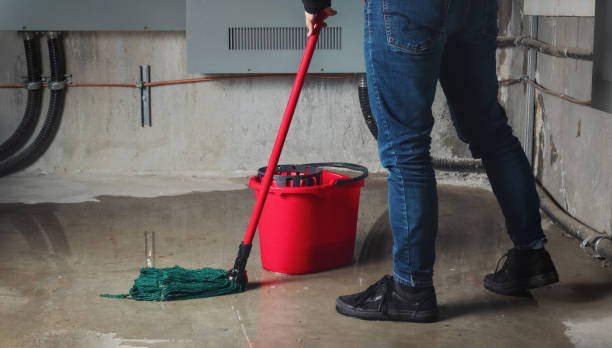Best Local water damage restoration  in Minneota, MN