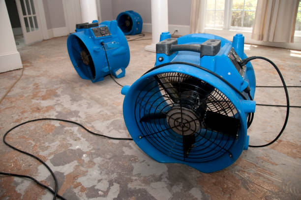 Fire Damage Restoration in Minneota, MN